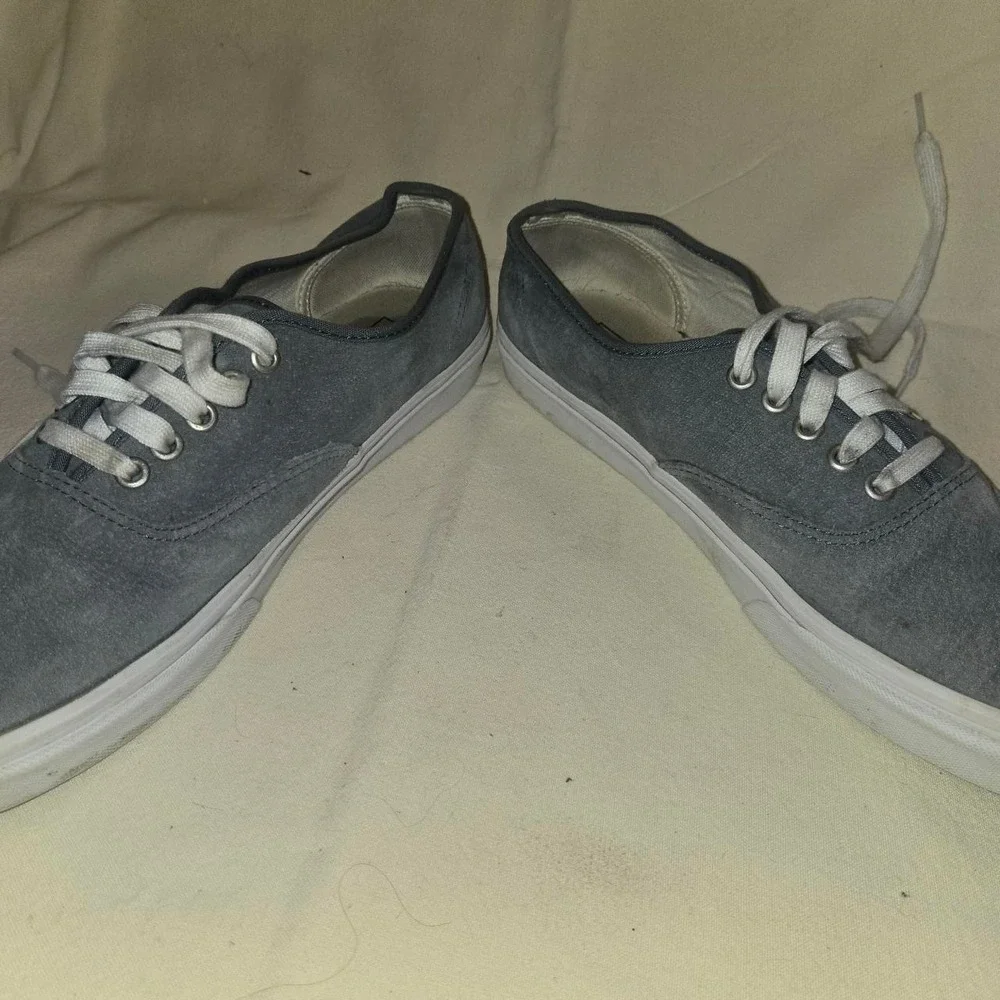 Vans Authentic Pig Suede 'Ashley Blue' Sneakers Size 10